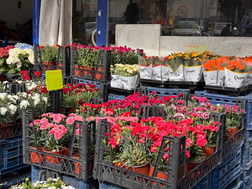 An outdoor display of potted flowers arranged in black plastic baskets and crates outside a flower shop, featuring vibrant pink, white, red, orange, and yellow blooms with lush green foliage. Some flo